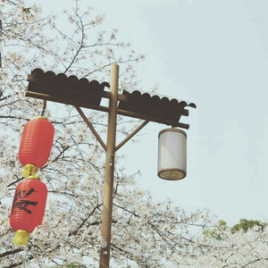 男人添女荫道口视频高清
