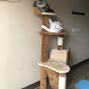 男人添女荫道口视频高清
